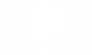 IGCAR-TRANSP